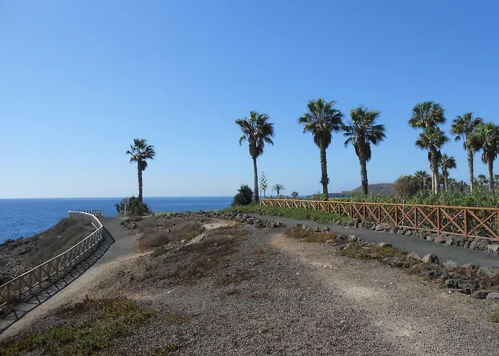 Amazing Seaside Duplex In The South Tenerife 公寓 圣米格尔德阿沃纳